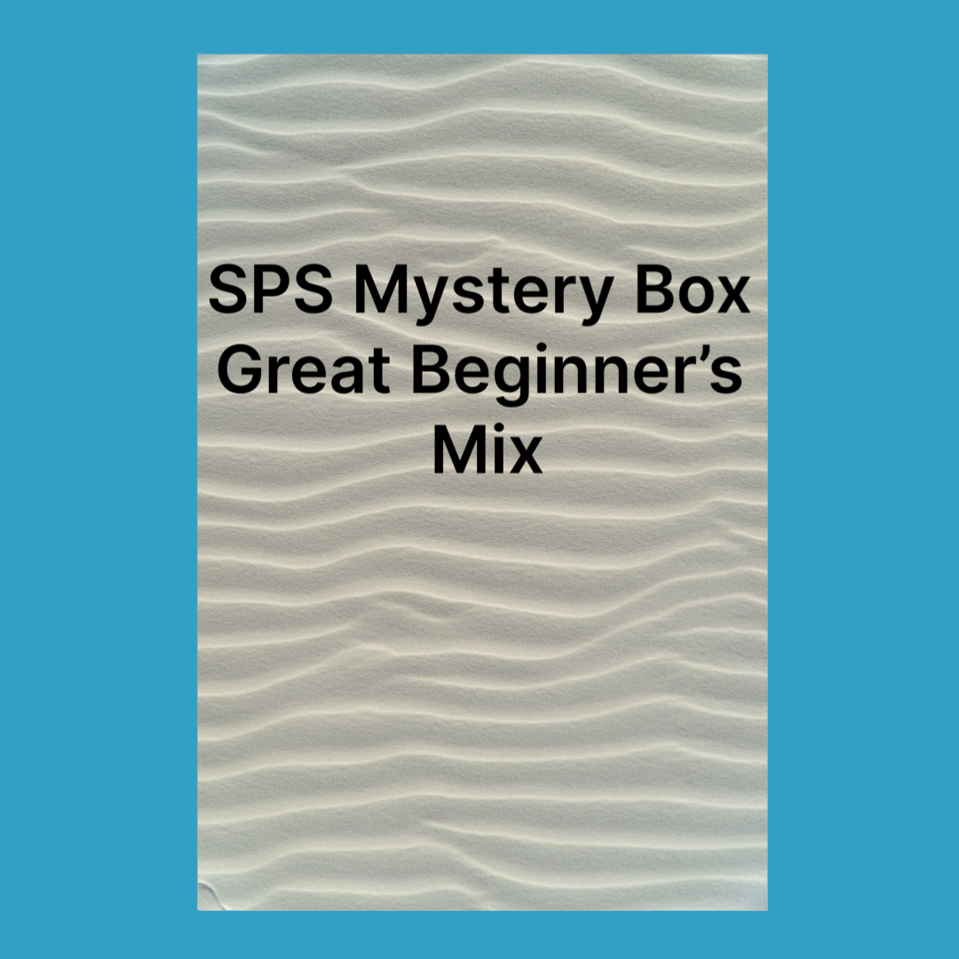 SPS Mystery Box -Great Beginner’s 6 pack