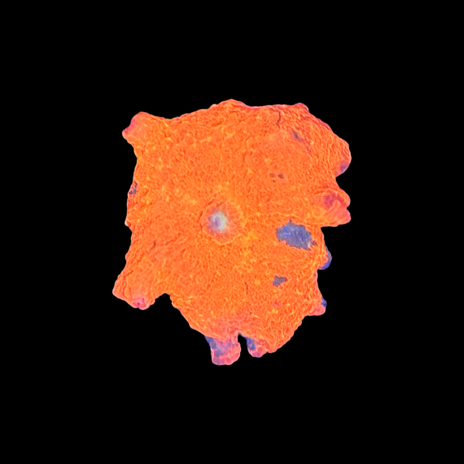 Candy Crush Jawbreaker Mushroom On Large Plug