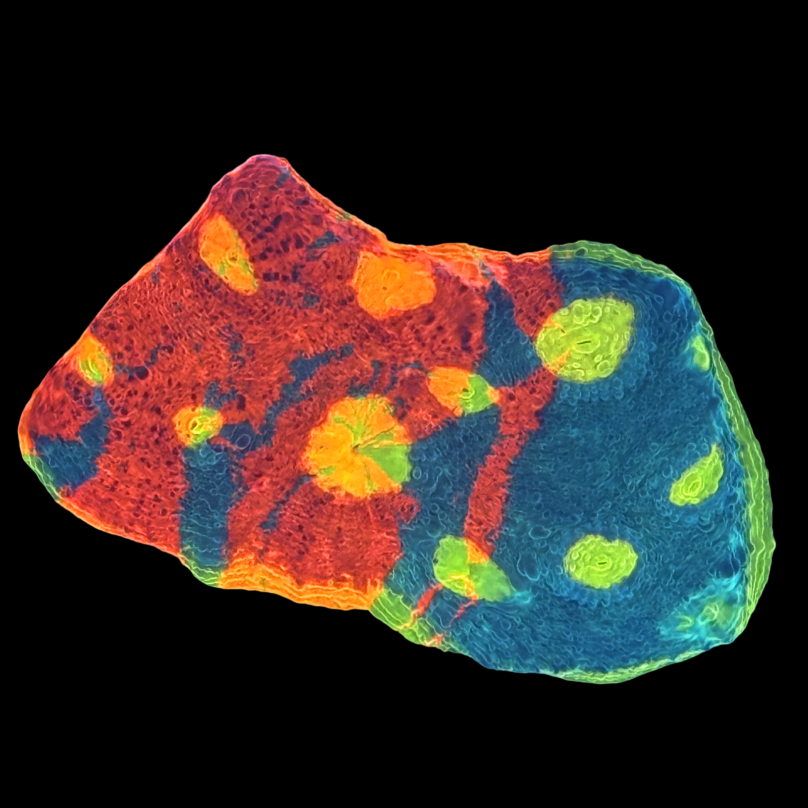 Flaming Bugatti Chalice Colony