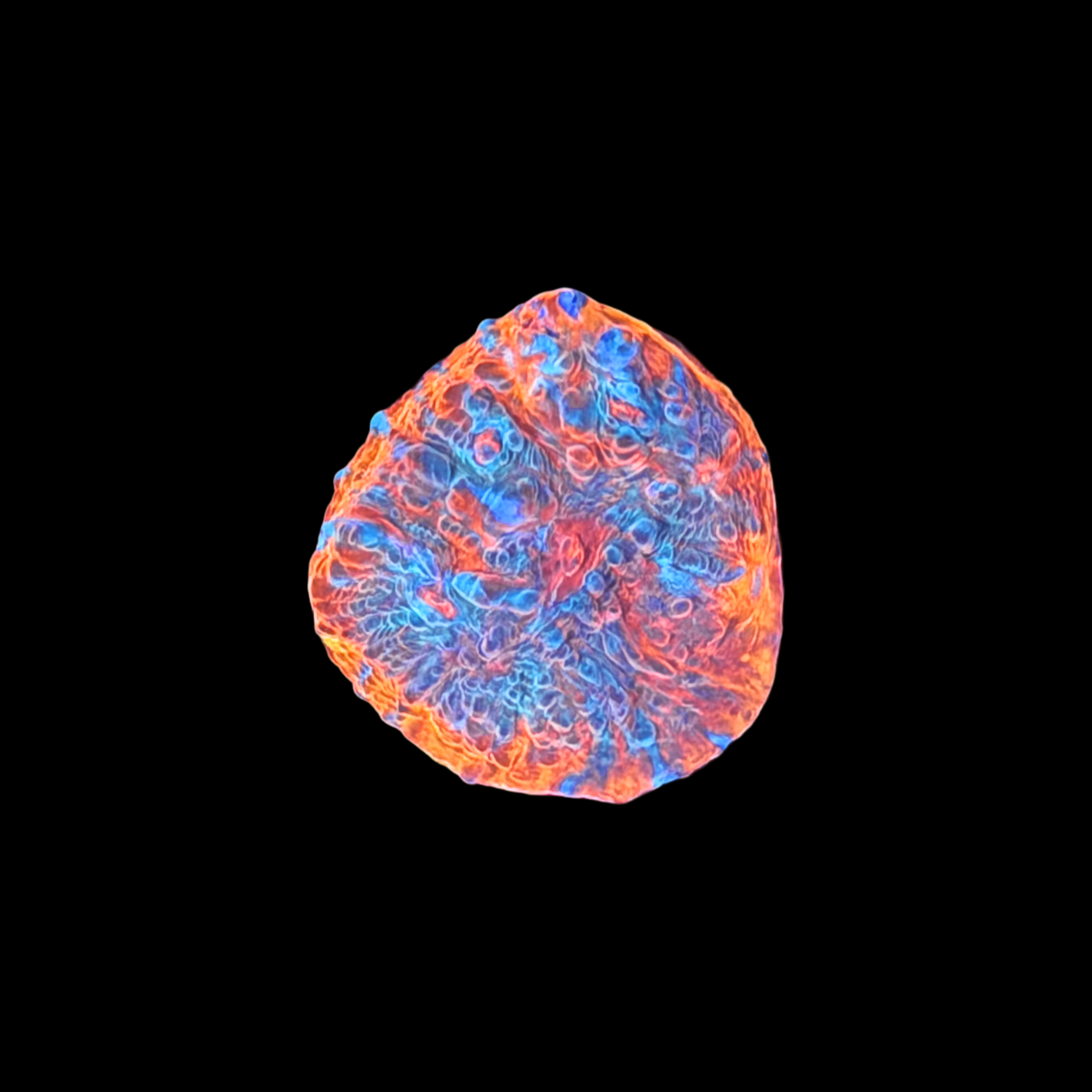 ECC Aphrodite Chalice