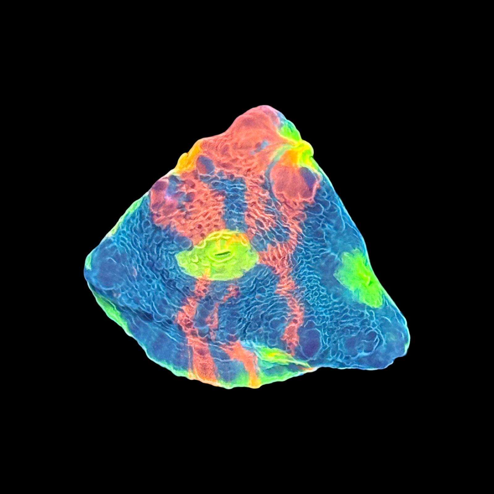 High End Chalice 4 Pack