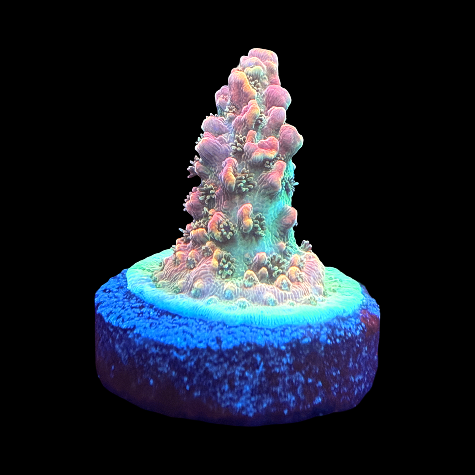 BC Bonfire Table small