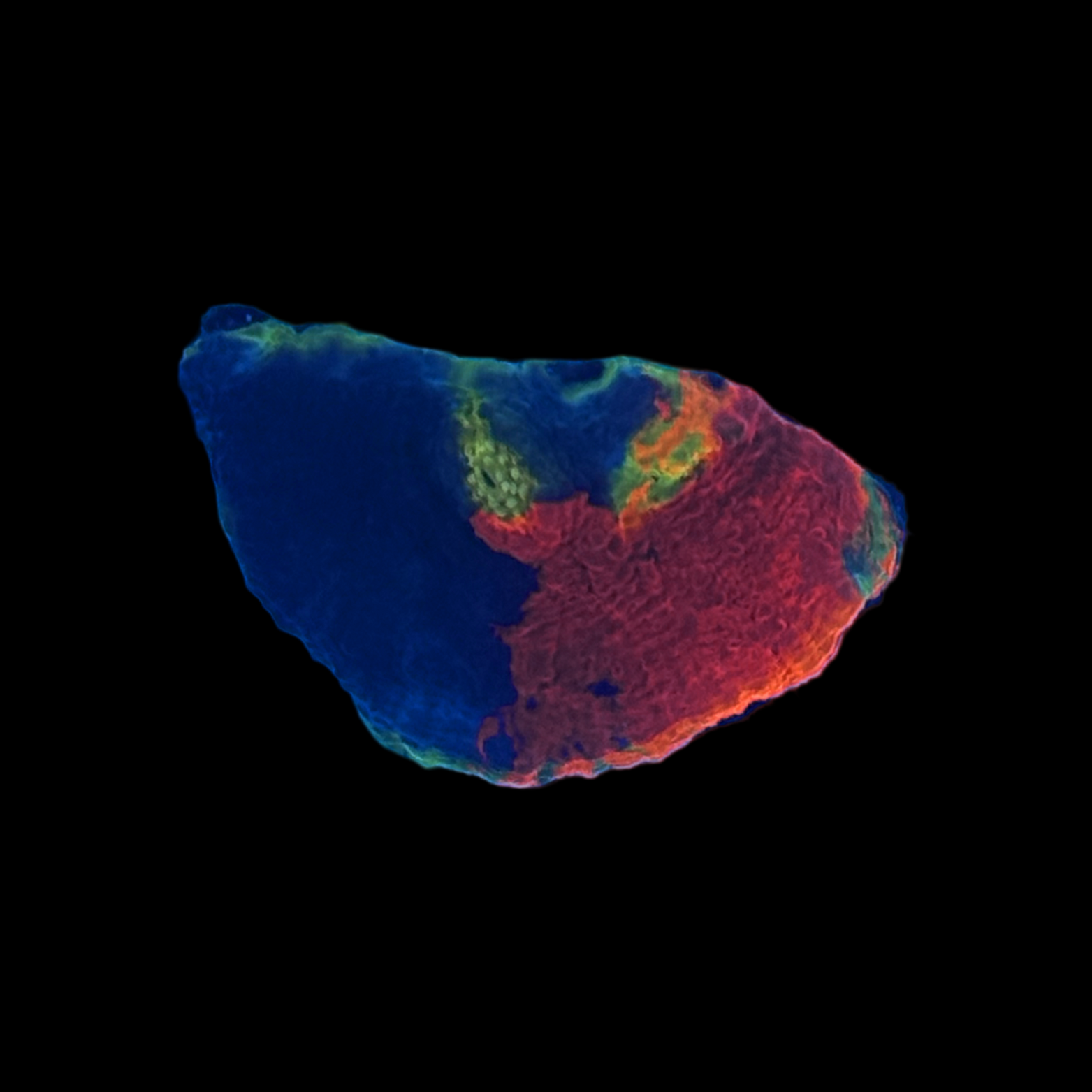 Rainbow Jellybean Chalice