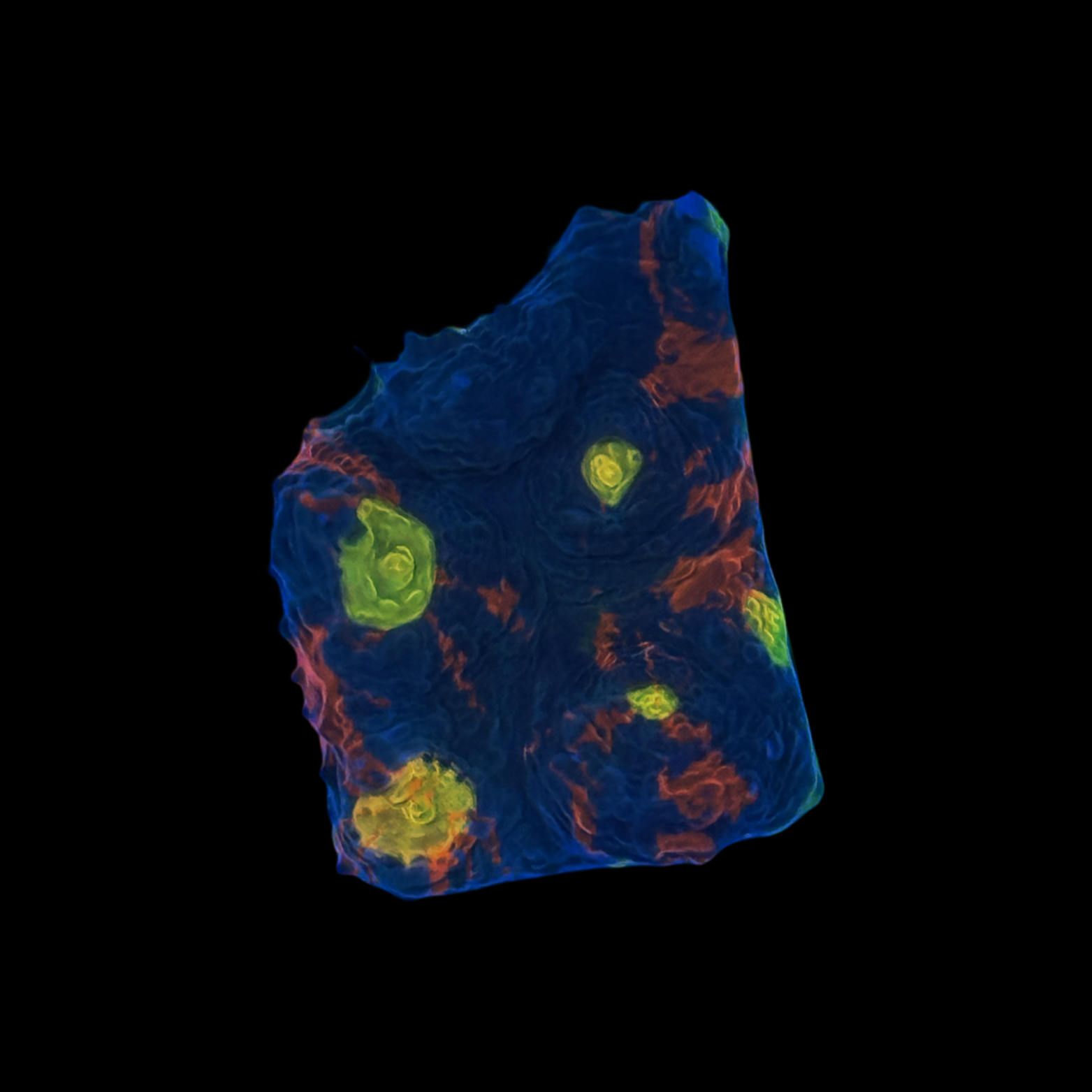 Rainbow Jellybean Chalice