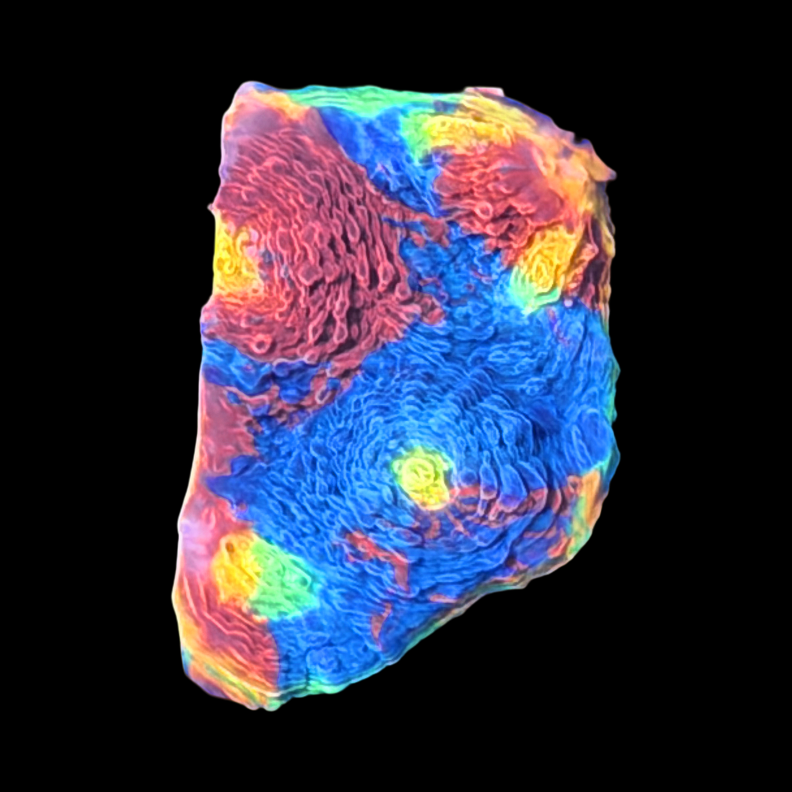 Rainbow Jellybean Chalice